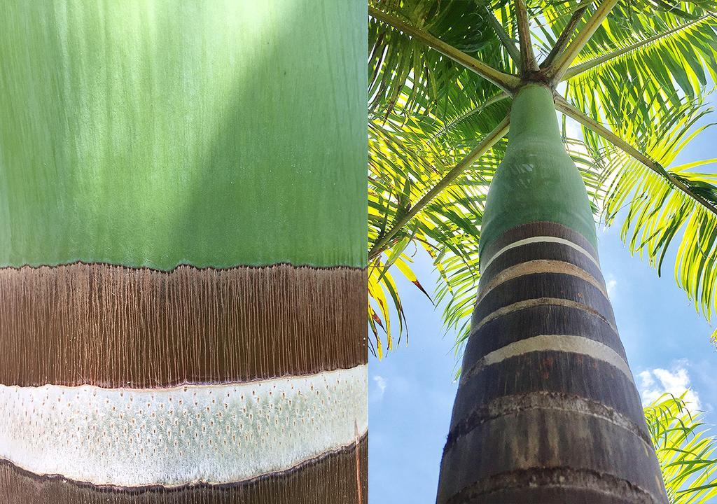 Chic Hotel Boutique Barra Grande (Piaui)